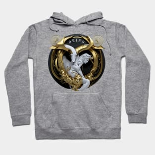 Design for Aries Zodiac Sign_7 Hoodie